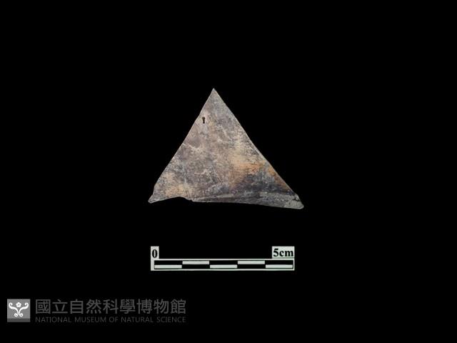 陶片藏品圖，第1張