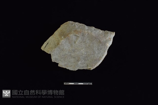 石材藏品圖，第1張