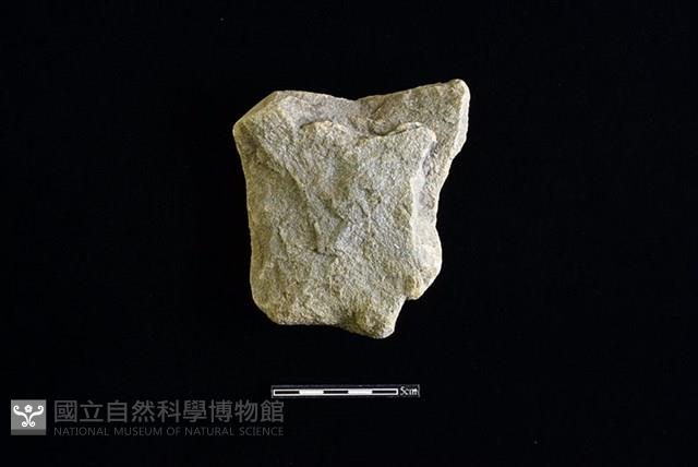 斧鋤形器藏品圖，第1張