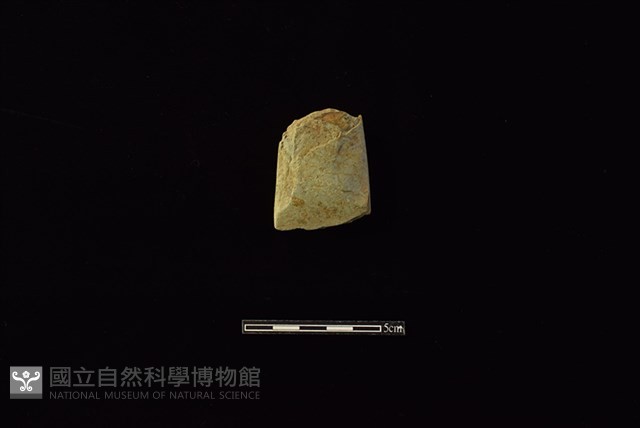 錛鑿形器藏品圖，第1張