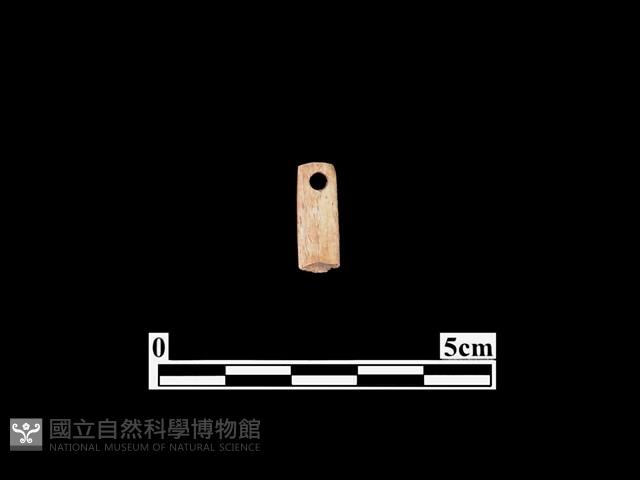 骨針藏品圖，第1張