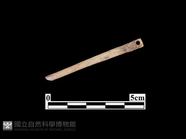 骨針藏品圖，第1張