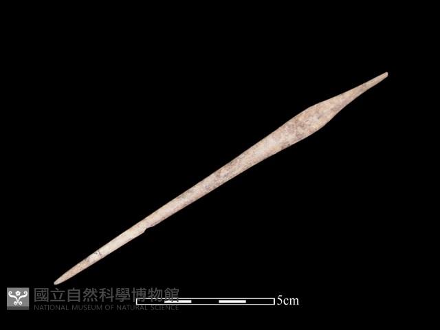 骨簪藏品圖，第1張