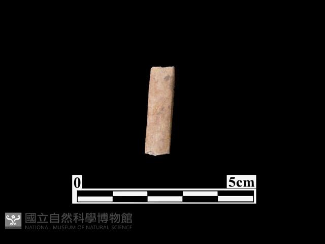 骨器藏品圖，第1張