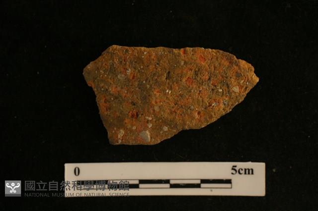 陶片藏品圖，第1張