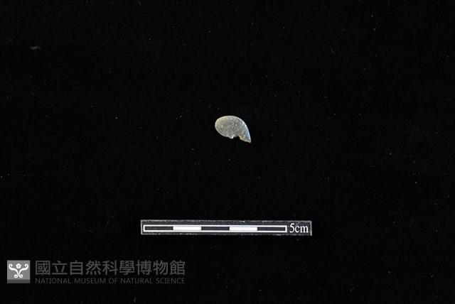 板岩片藏品圖，第1張