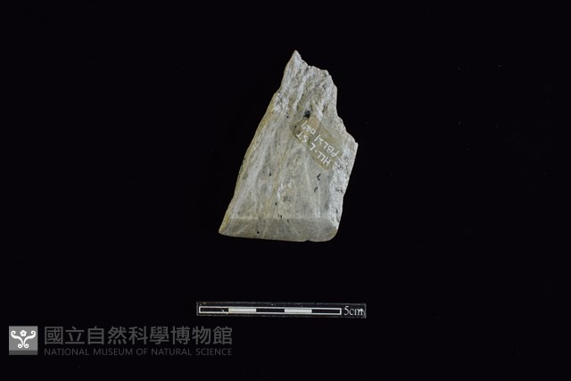 錛鑿形器藏品圖，第1張