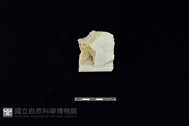 巴圖形器藏品圖，第1張