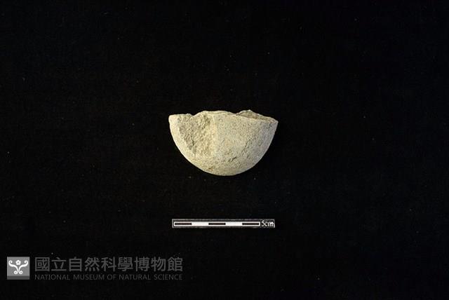 石片器藏品圖，第1張