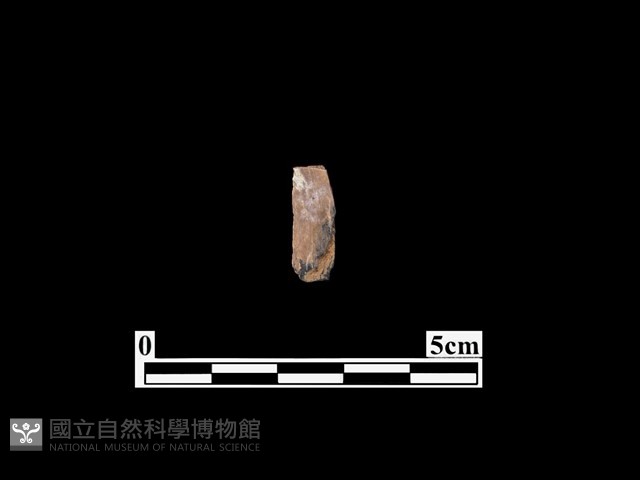 骨器藏品圖，第1張