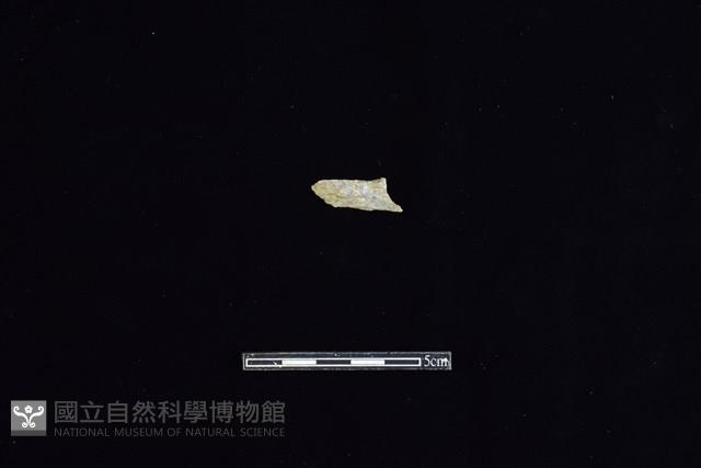 錛鑿形器藏品圖，第1張