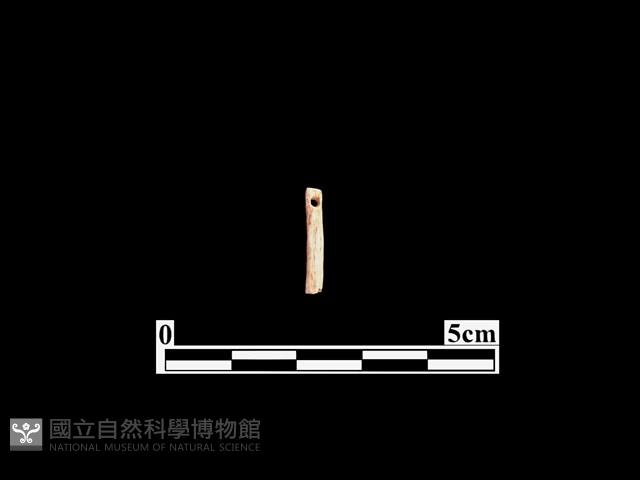 骨針藏品圖，第1張