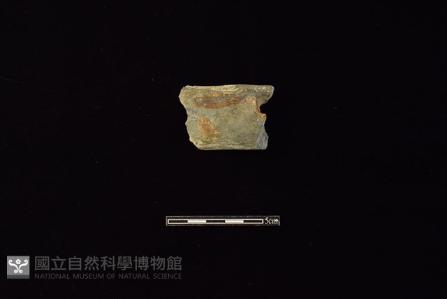 磨製石器藏品圖，第1張