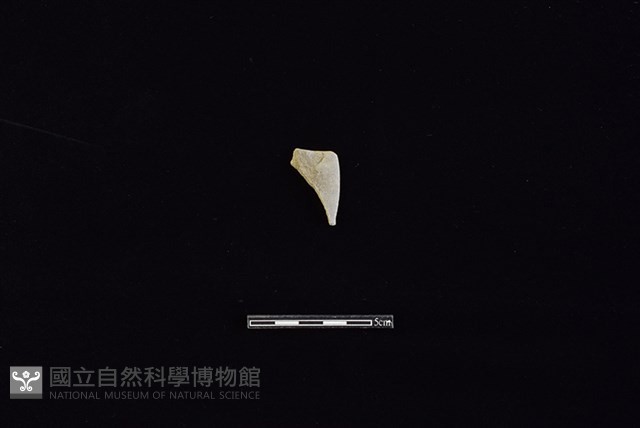 石刀藏品圖，第1張