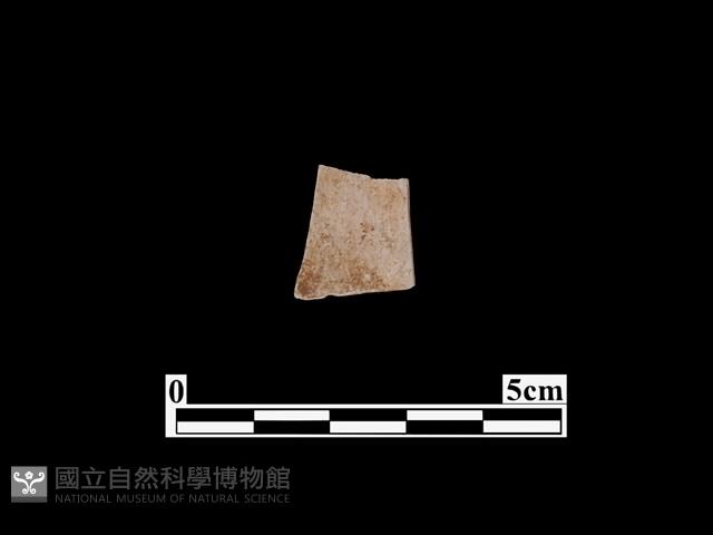 骨器藏品圖，第1張