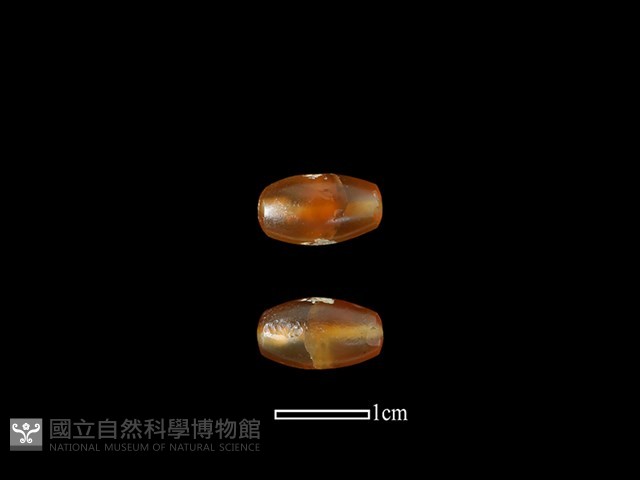 珠子藏品圖，第1張