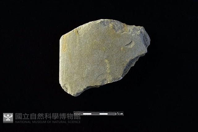 巴圖形器藏品圖，第1張