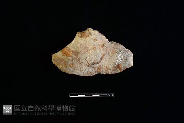 打製石器藏品圖，第1張