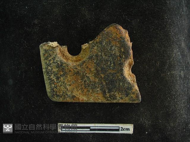 磨製石器藏品圖，第1張