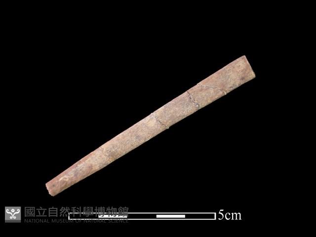 骨簪藏品圖，第1張