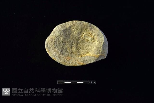 凹石藏品圖，第1張