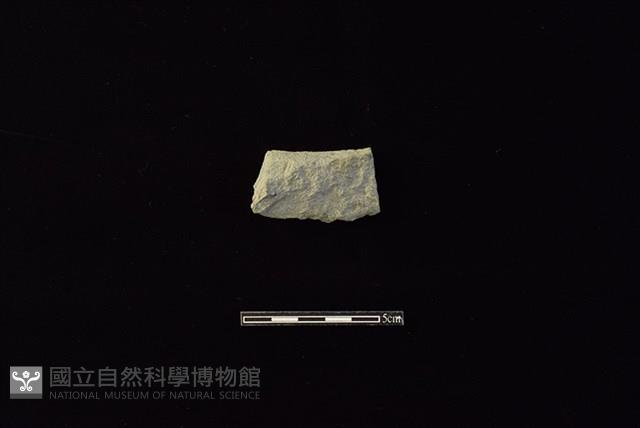 磨製石器藏品圖，第1張