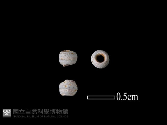 珠子藏品圖，第1張
