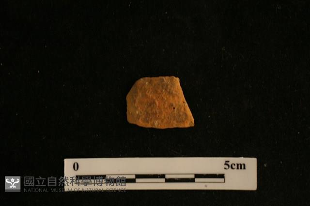 陶片藏品圖，第1張