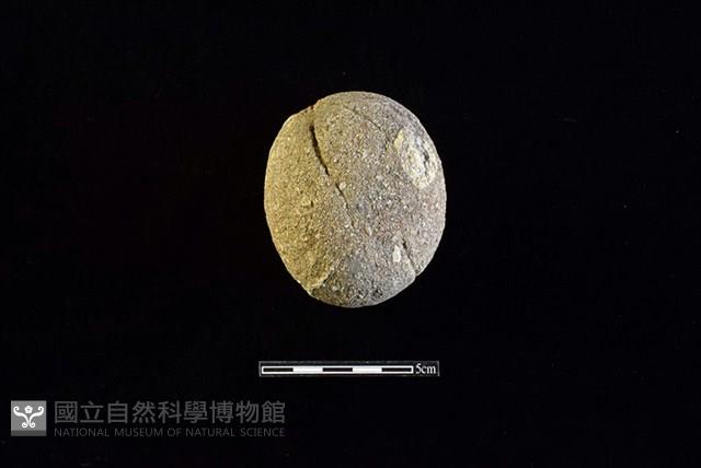 石球藏品圖，第1張