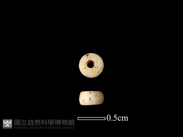 珠子藏品圖，第1張