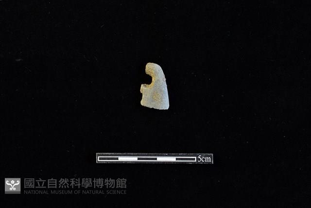 磨製石器藏品圖，第1張