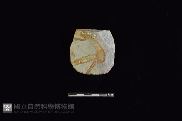 斧鋤形器藏品圖，第1張