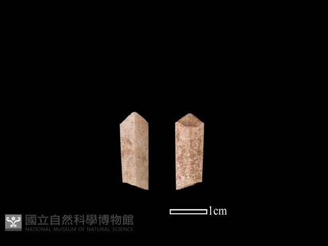 骨簪藏品圖，第1張