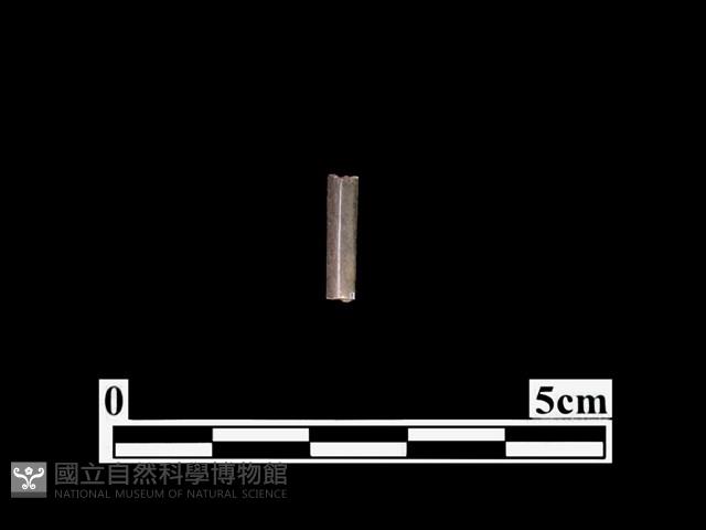 骨器藏品圖，第1張