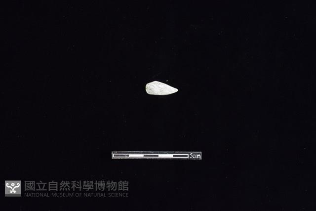 石材藏品圖，第1張