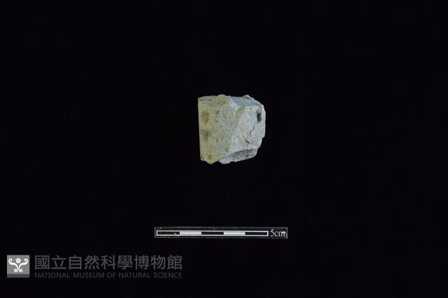 Accession Number:HLL-L-ST048 Collection Image, Figure 1, Total 2 Figures