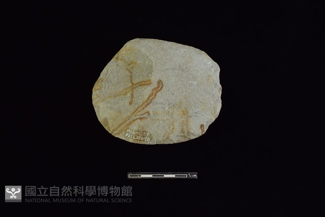 石片器藏品圖，第1張
