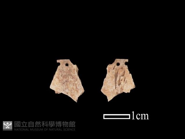 骨飾藏品圖，第1張