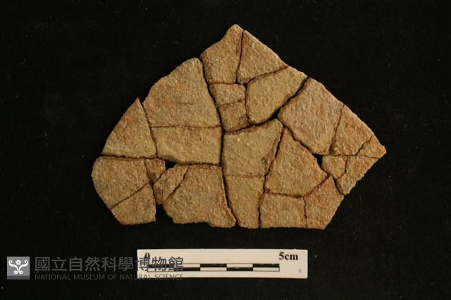 陶片藏品圖，第1張