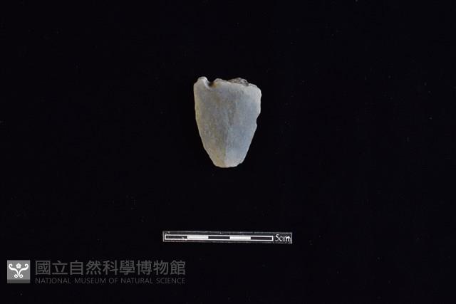 矛鏃形器藏品圖，第1張