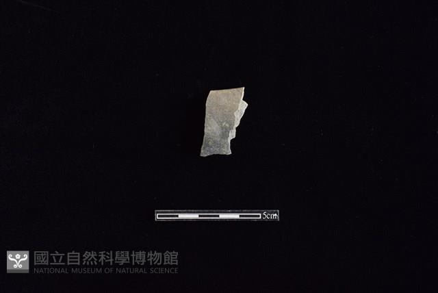 磨製石器藏品圖，第1張