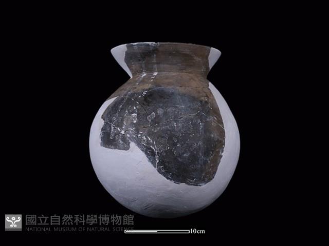 陶罐藏品圖，第1張