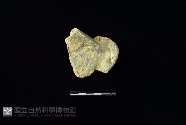 打製石器藏品圖，第1張