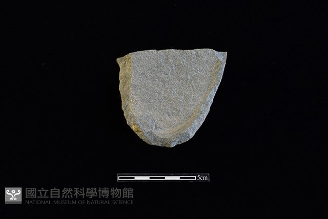 石鎚藏品圖，第1張