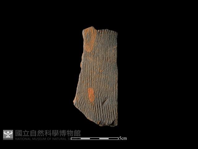 陶片藏品圖，第1張