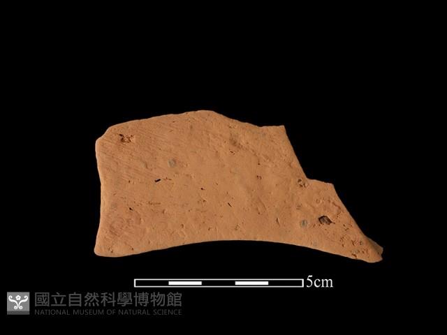 連杯形器藏品圖，第2張