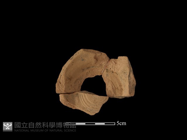容器藏品圖，第2張