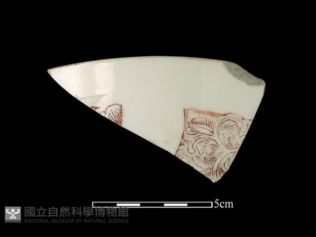 瓷片藏品圖，第1張