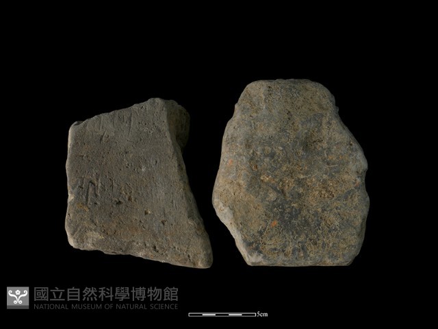 磚藏品圖，第1張