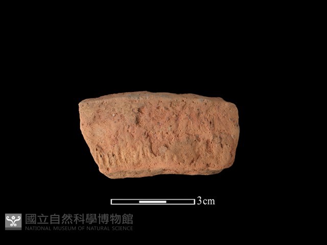 陶罐藏品圖，第1張